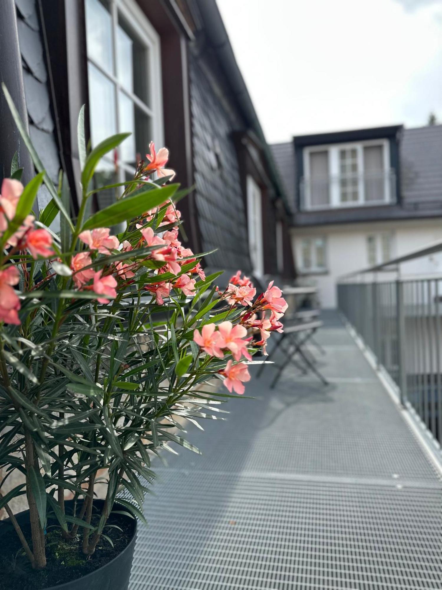 Rotmain Apartments Bayreuth Eksteriør bilde